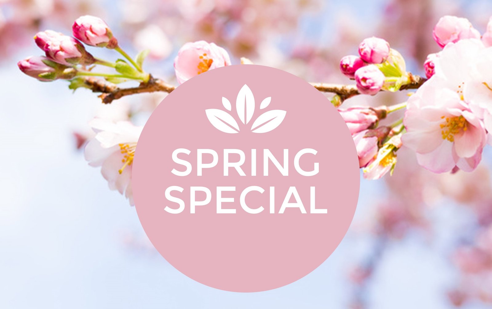 Spring Special